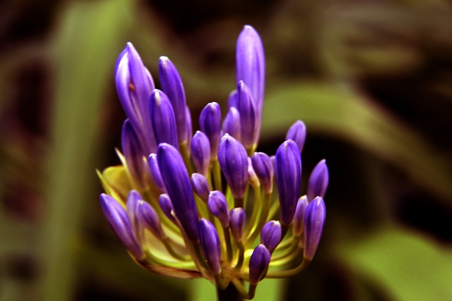 他的教练和 他的教练和