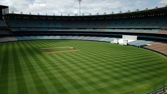 他用自己的 他用自己的