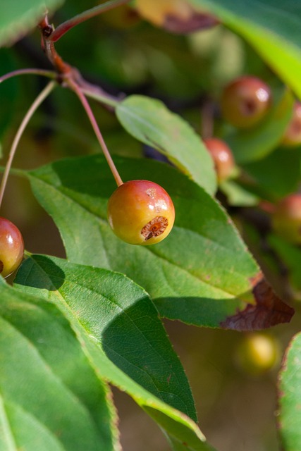 在历史上 在历史上