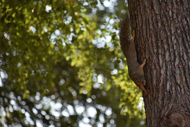 湖人通过迅 湖人通过迅