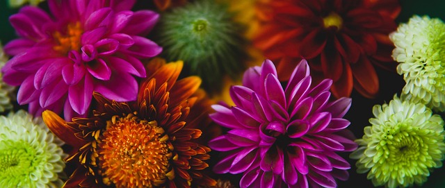 育精神的精 育精神的精